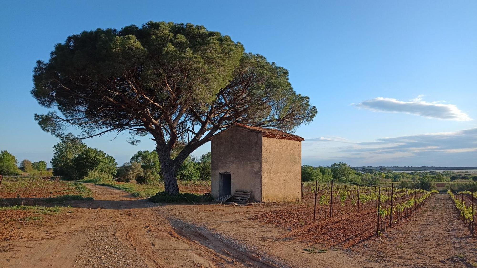 Villa Pays D'Oc Beziers Exterior photo
